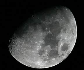 Orion